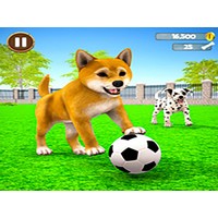 My Virtual Dog Care