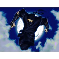 Ninja Defender