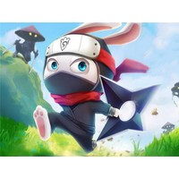 Ninja Rabbit