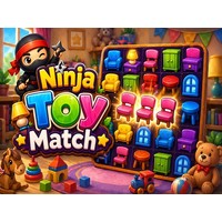 Ninja Toy Match