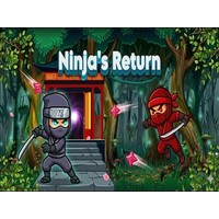 Ninjas Return