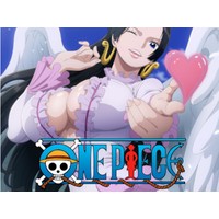 One Piece Anime Girls