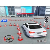 Parking Master: License Exam