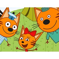 Picnic With Cat Family