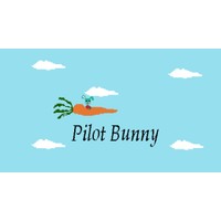 Pilot Bunny