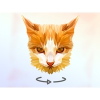 Poly Art