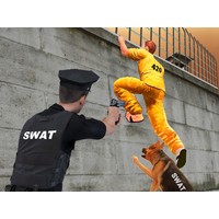 Prison Survive Break Escape