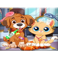 Puppy Pet Vet Care