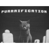Purrrification