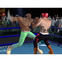 Real Boxing Fighting Game