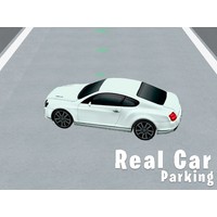 Real Car Parking 3D