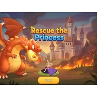 Rescue The Princess
