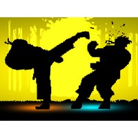 Shadow Fights