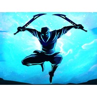 Shadow Ninja Warriors