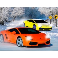 Snow Track Racing 3D