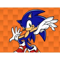 Sonic Bridge Challenge