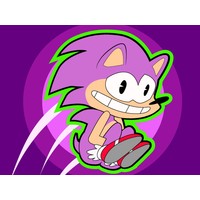 Sonic Rush Toilet