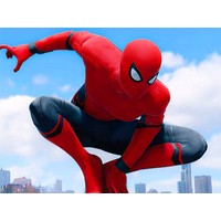 Spiderman Fighter