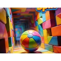 Spin Color