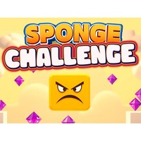 Sponge Challenge
