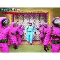 Squid Maze Challenge