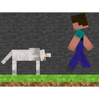 Steve and Wolf