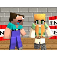 Steve VS Alex