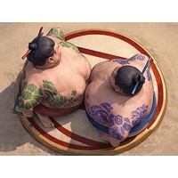 Sumo Wrestling Battle
