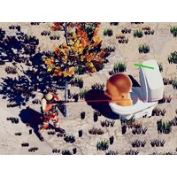 TopDown Skibidi Toilet Shooting
