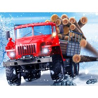Truck Driver Snowy Roads