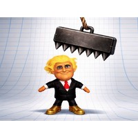 Trump the Ragdoll