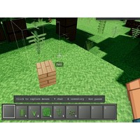 Voxel Frontier