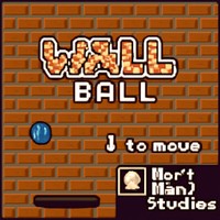 WALL BALL