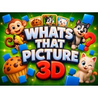 Whats That Picture 3D