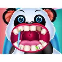 Wild Animal Hospital Vet Doctor