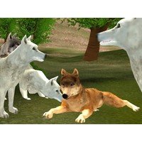 Wild Wolves