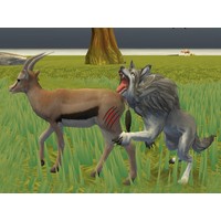 Wolf Life Simulator