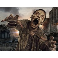 Zombie Mayhem Online